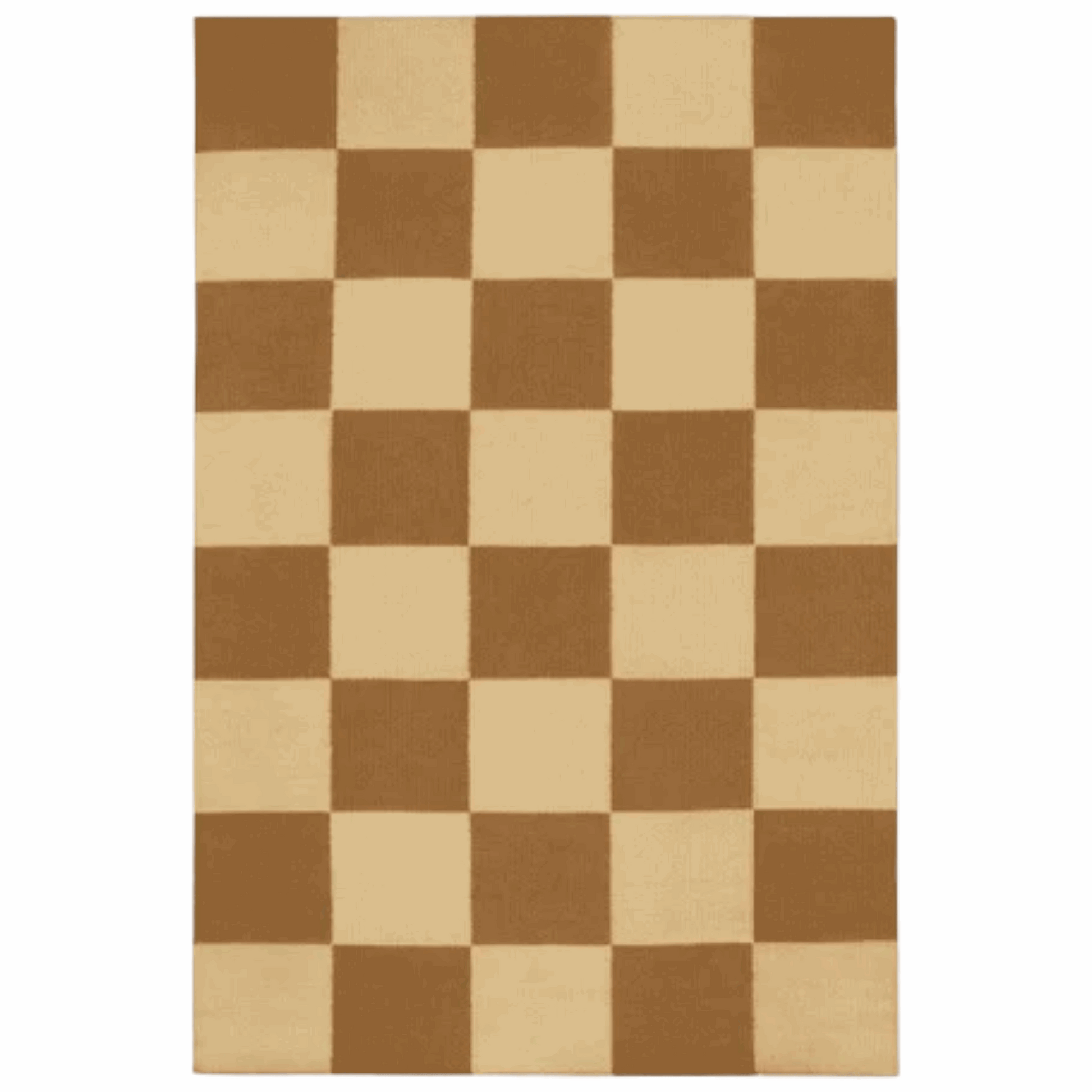 Checkered Box Flatweave Handwoven Area Rug