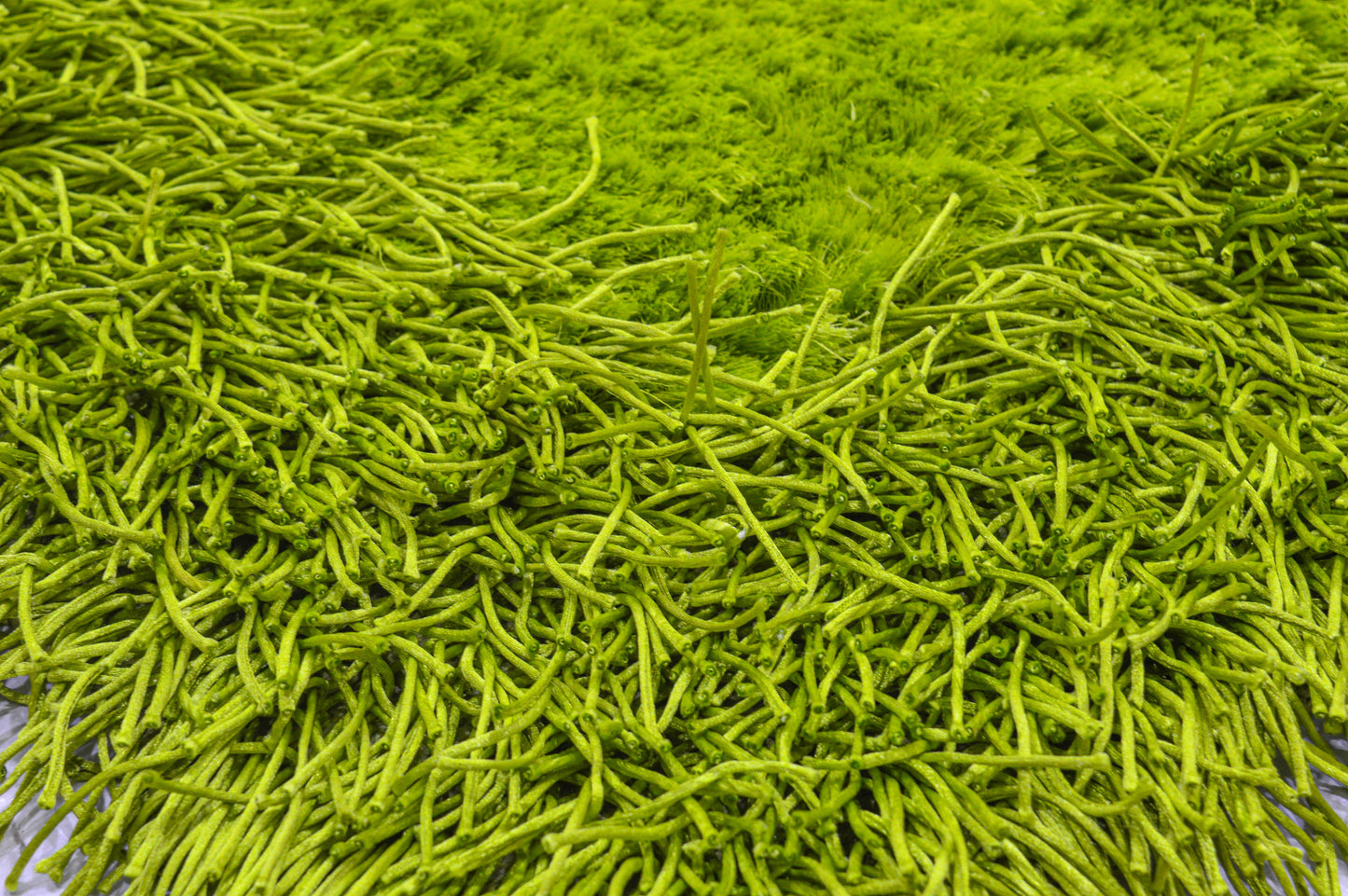 Green Thick Dense Pile Super Soft Rug