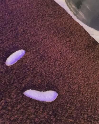 Travis Scott Brown Runner Rug